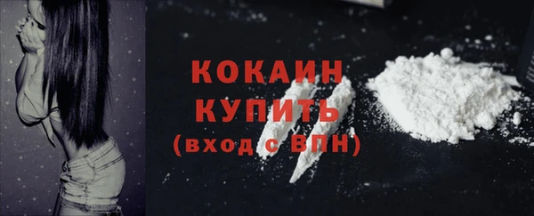PSILOCYBIN Липки