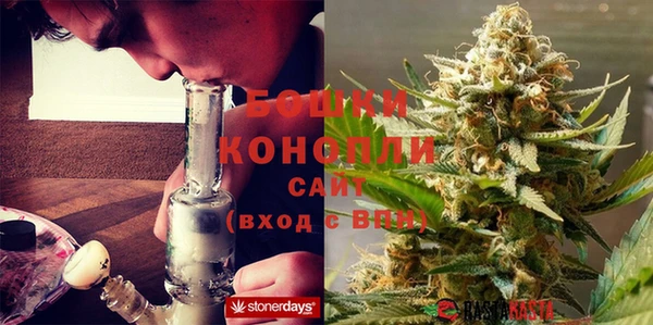 PSILOCYBIN Липки
