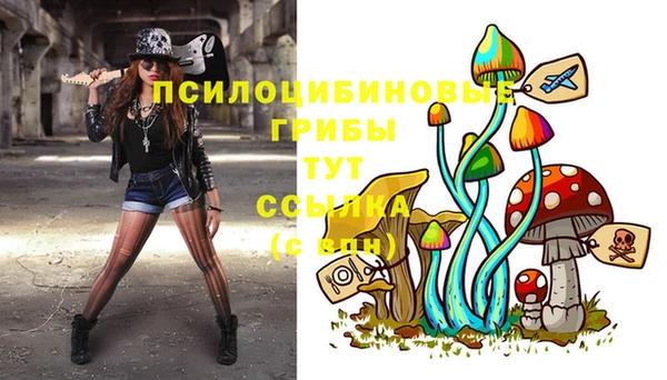 дмт Лихославль