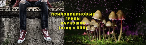 дмт Лихославль