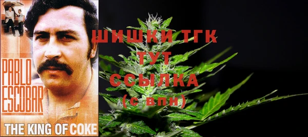 PSILOCYBIN Липки