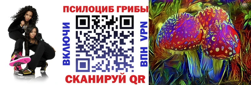 купить наркотик  Нариманов  KRAKEN ссылка  Псилоцибиновые грибы Cubensis 